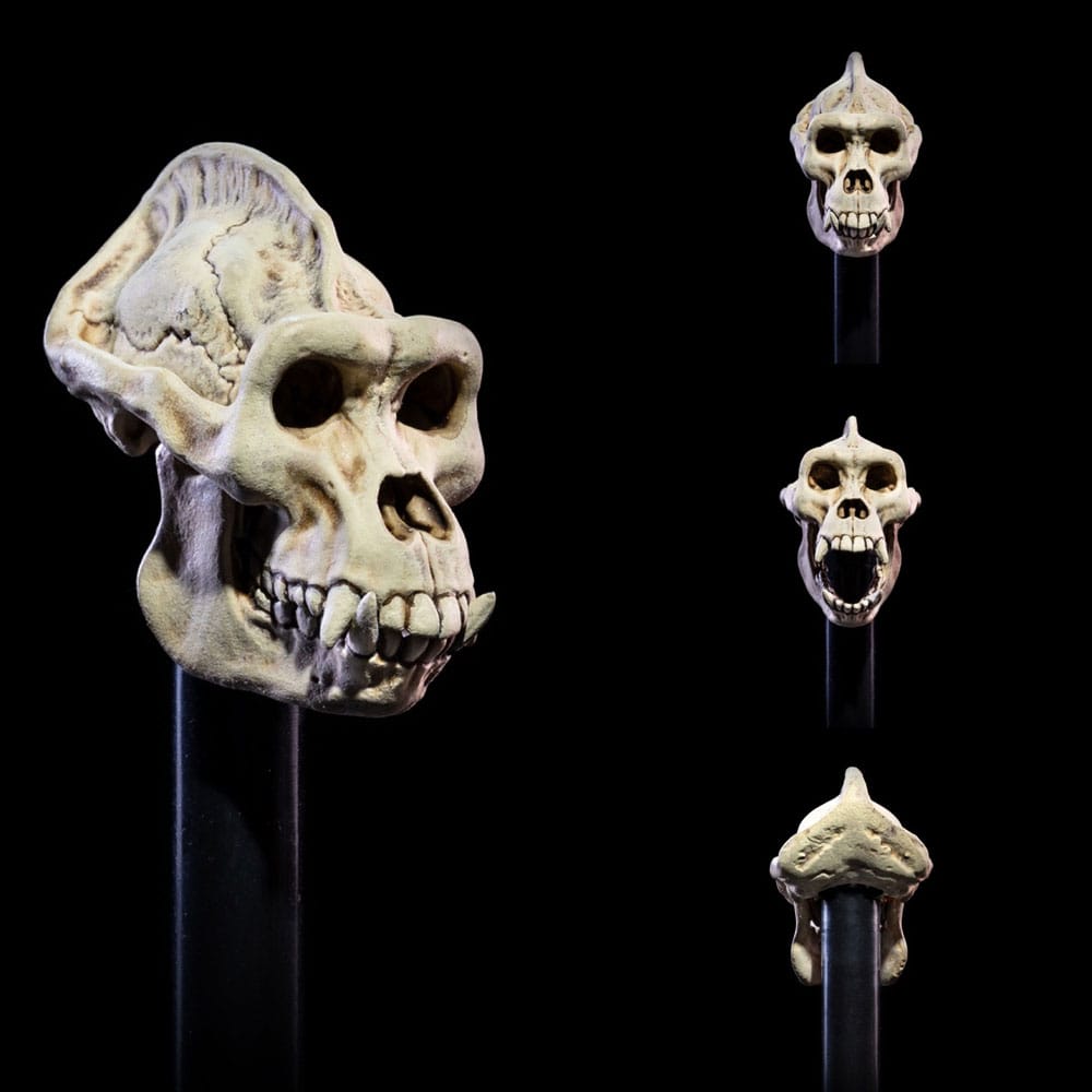 Mythic Legions: All Stars 6 Zubehör-Set für Actionfiguren Undead Heads Pack - Preorder - ETA: 29.09.2025