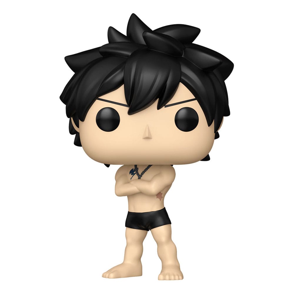 Fairy Tail 100 Year Quest POP! Animation Vinyl Figuren Gray w/Chase 9 cm Sortiment (6) - Versand: 7 Tage nach Bestellung