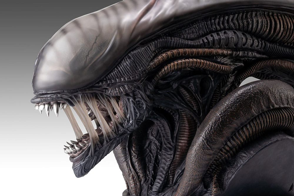 Alien Romulus Büste 1/1 Xenomorph 53 cm - Preorder - ETA: 25.11.2025