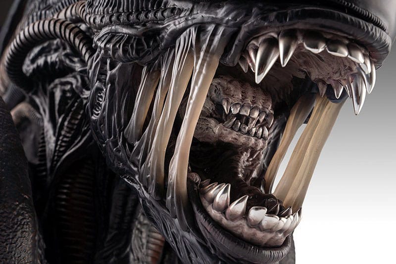 Alien Romulus Büste 1/1 Xenomorph 53 cm - Preorder - ETA: 25.11.2025