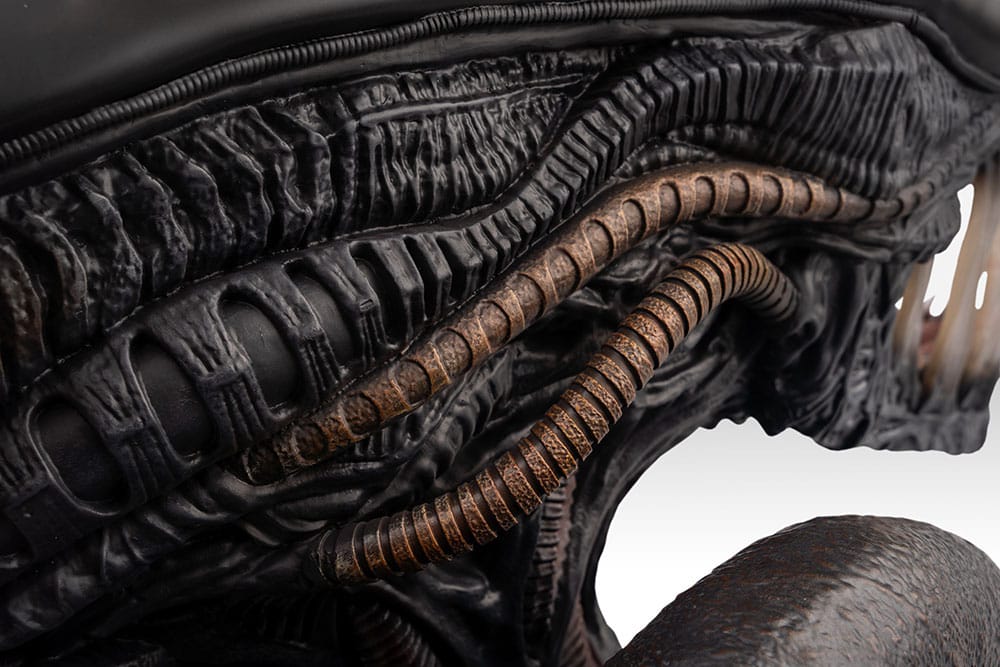Alien Romulus Büste 1/1 Xenomorph 53 cm - Preorder - ETA: 25.11.2025