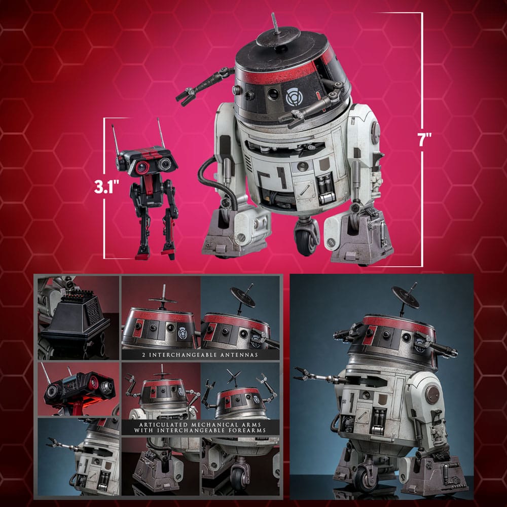 Star Wars Actionfigur Set 1/6 Chopper (C1-10P™) & BD-1™ (Imperial Disguise) 18 cm & 8 cm - Versand: 5-7 Tage nach Bestellung