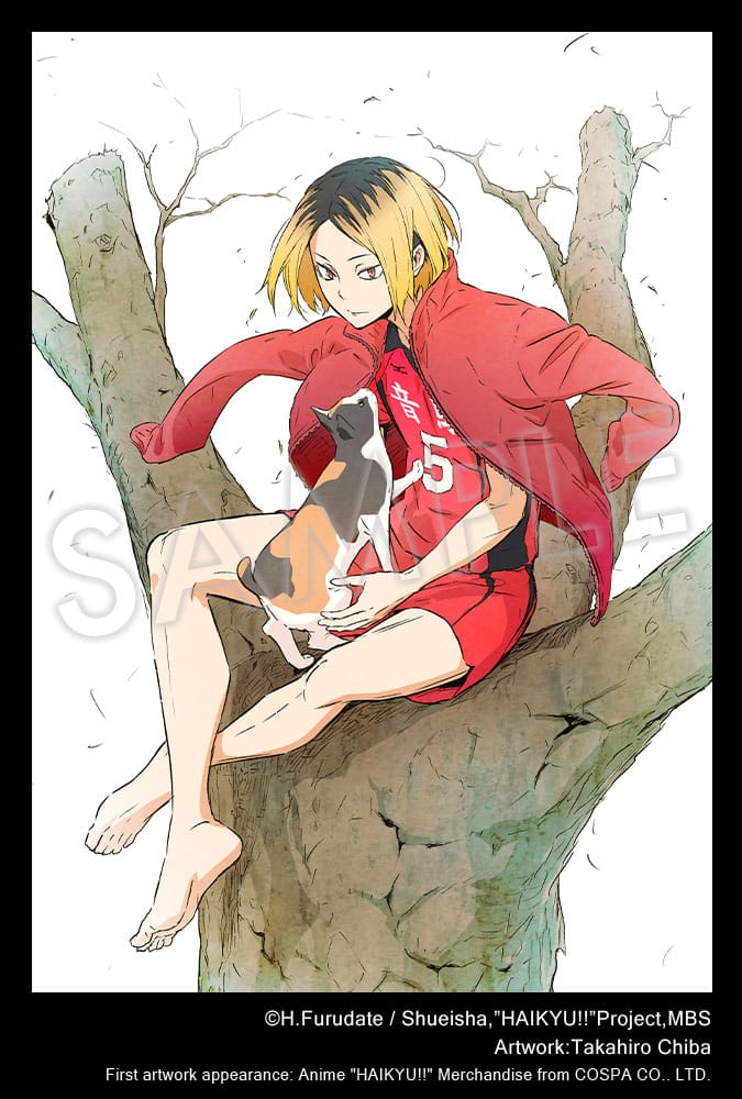 Haikyu!! ARTFXJ Statue 1/8 Kenma Kozume 21 cm - Versand: 7 Tage nach Bestellung