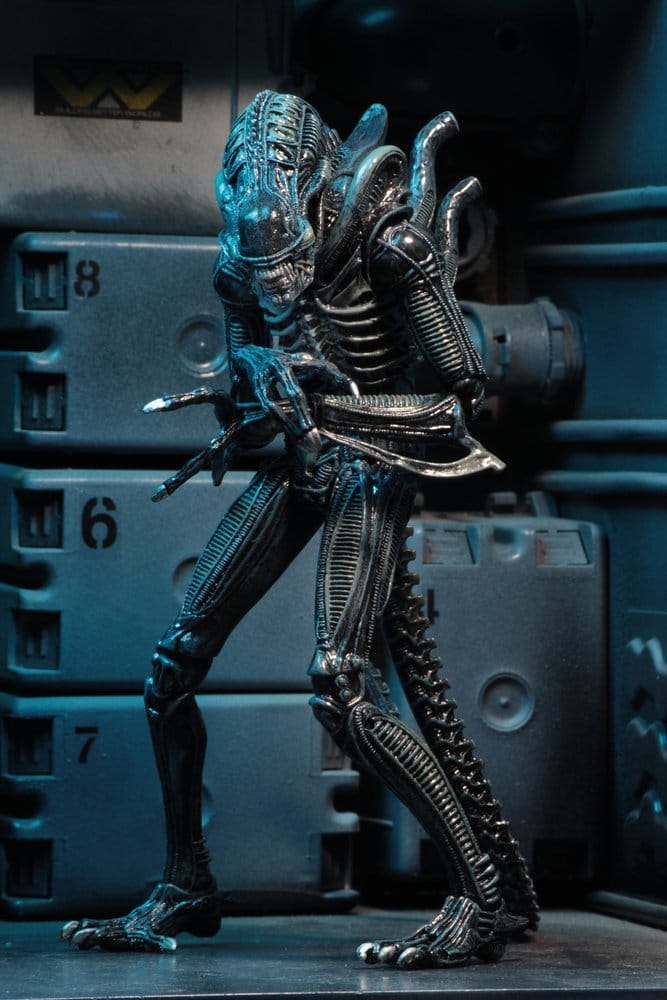 Aliens Ultimate Actionfigur Warrior (1986) Blue 23 cm - Preorder - ETA: 25.11.2026