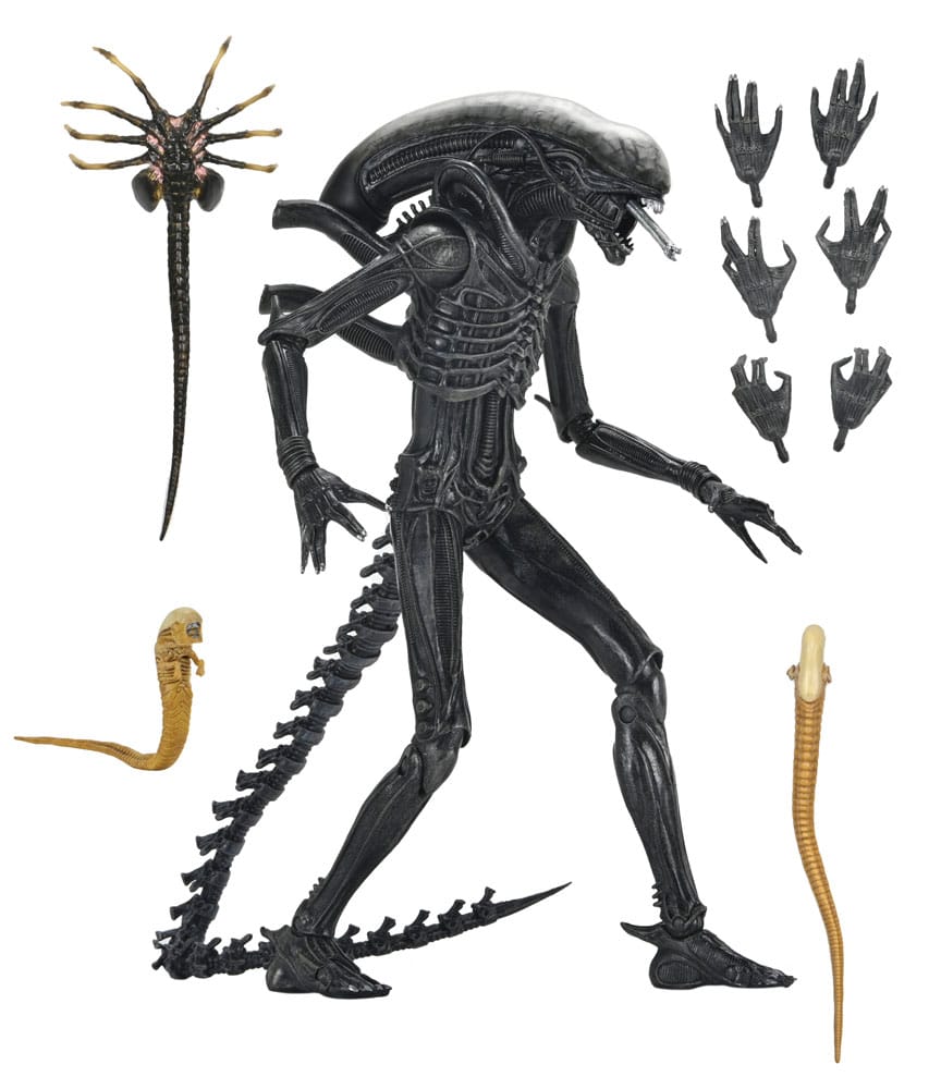 Alien: Romulus Actionfigur Ultimate Xenomorph XX121 18 cm - Preorder - ETA: 25.11.2025