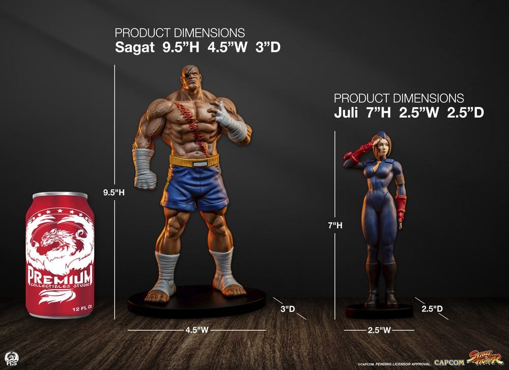 Street Fighter Street Jam Statuen 1/10 Sagat & Juli 24 cm - Preorder - ETA: 25.02.2027