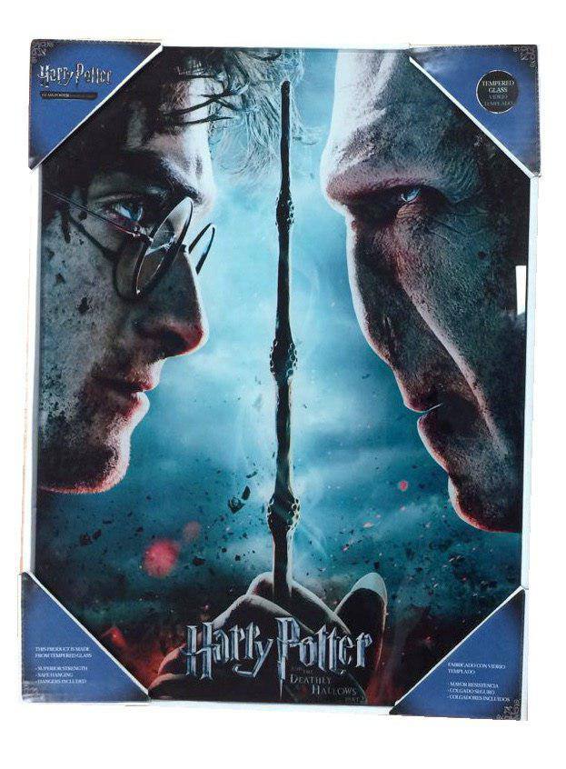 Harry Potter Glasposter Harry & Voldemort 30 x 40 cm - Preorder - ETA: 07.08.2026