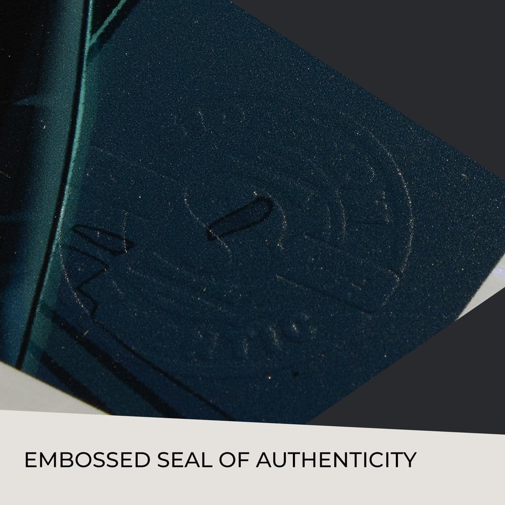 DC Comics Kunstdruck Catwoman: Nine Lives 61 x 41 cm - ungerahmt - Preorder - ETA: 25.07.2026