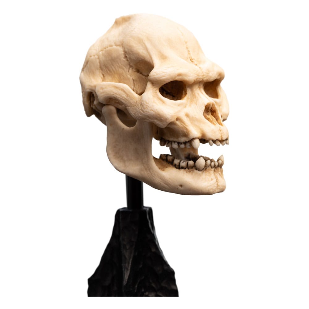 Herr der Ringe Mini Statue Skull of Lurtz 14 cm - Versand: 5-7 Tage nach Bestellung