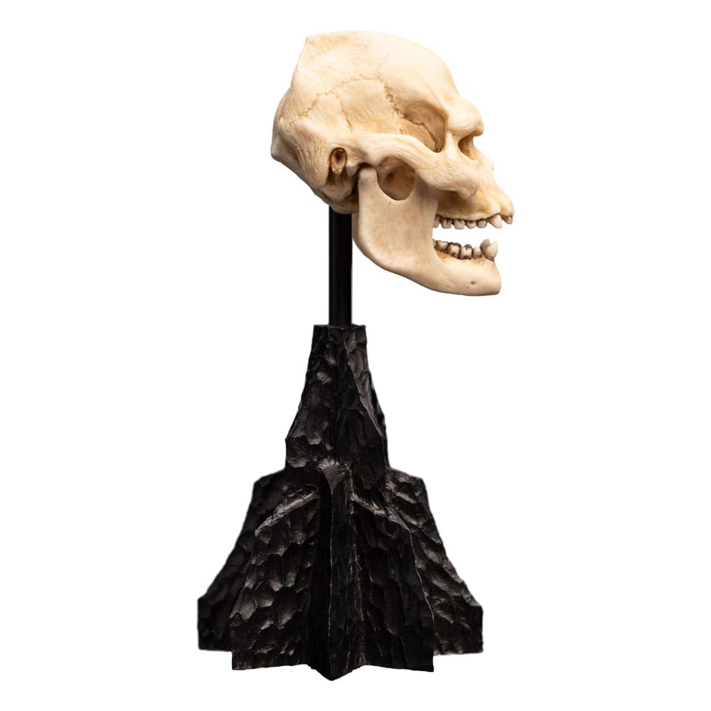 Herr der Ringe Mini Statue Skull of Lurtz 14 cm - Versand: 5-7 Tage nach Bestellung