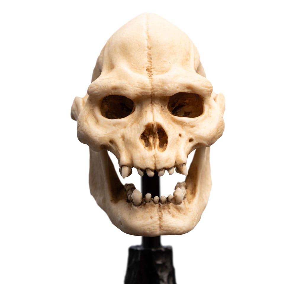 Herr der Ringe Mini Statue Skull of Lurtz 14 cm - Versand: 5-7 Tage nach Bestellung