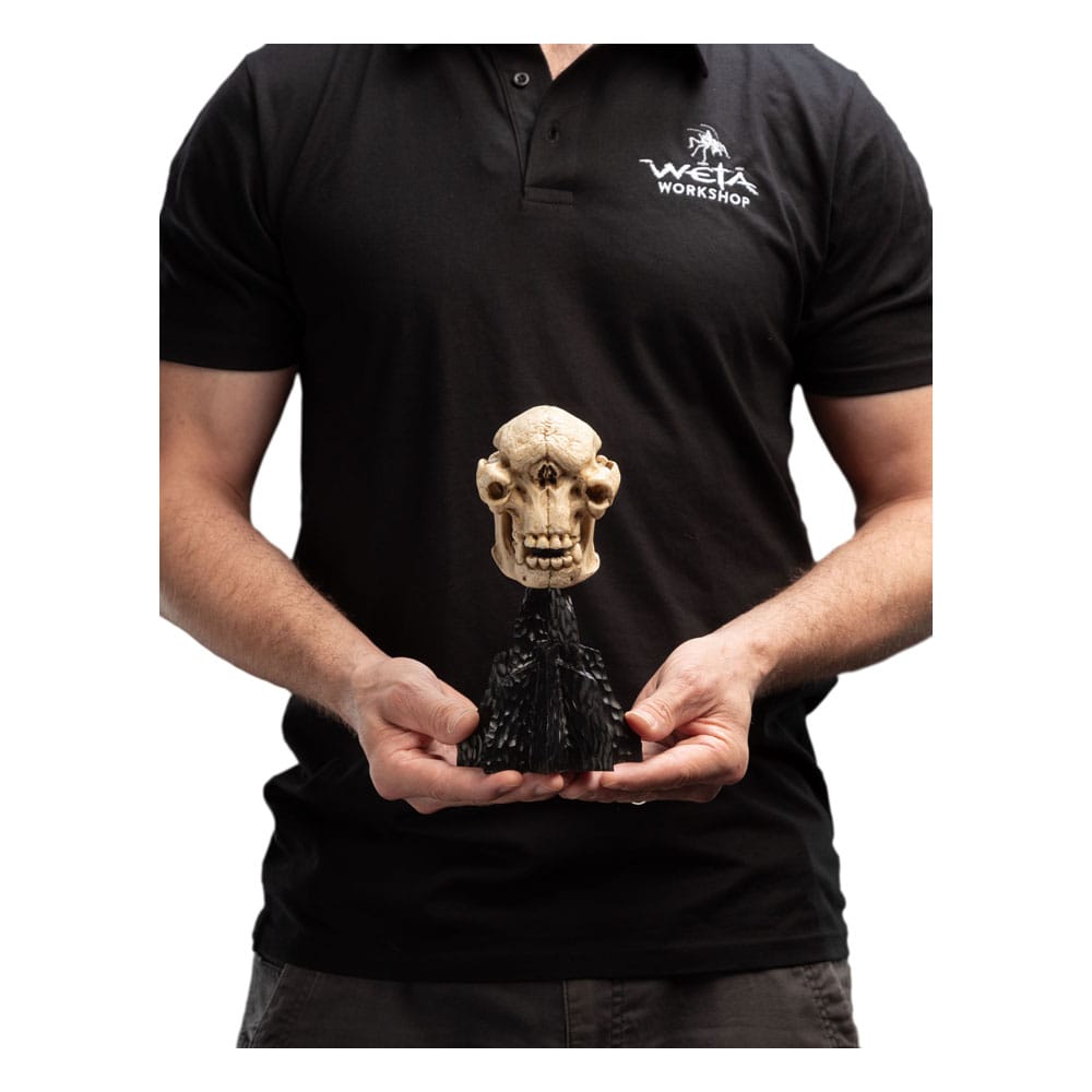 Herr der Ringe Mini Statue Skull of a Cave Troll 21 cm - Versand: 5-7 Tage nach Bestellung