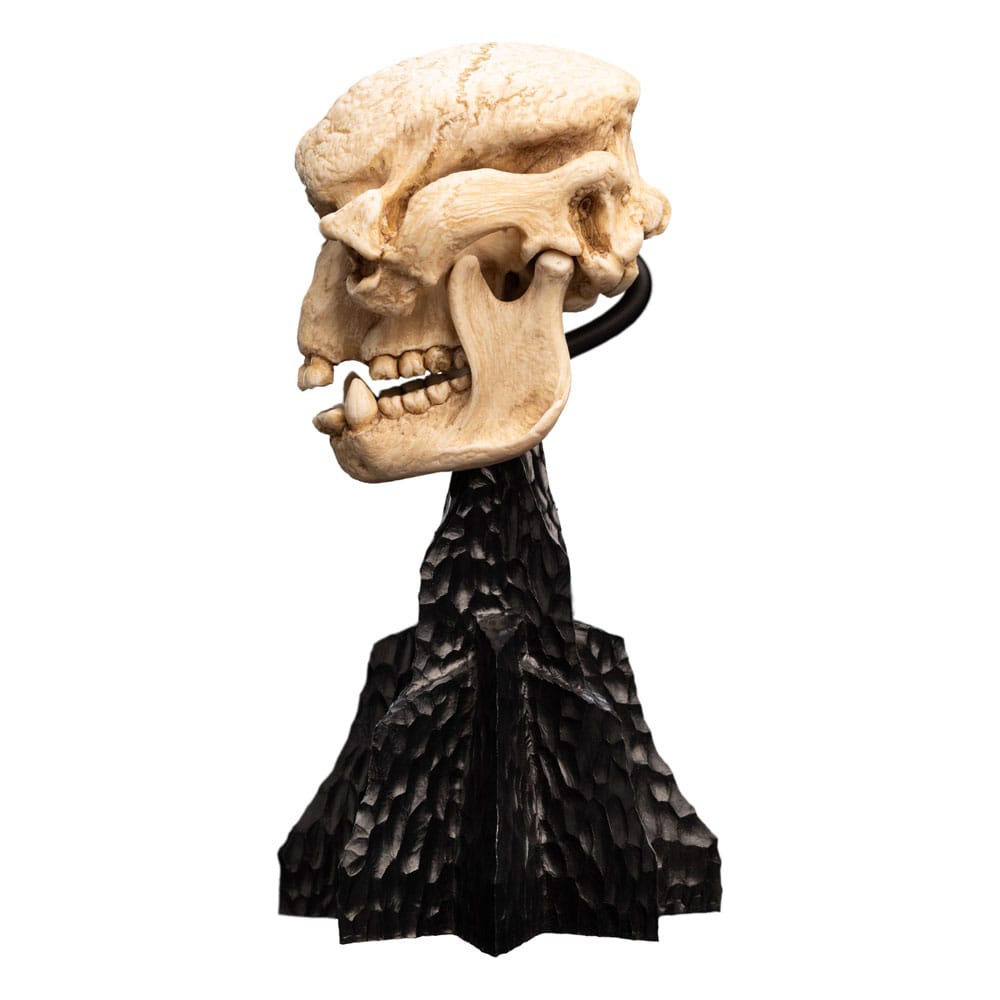 Herr der Ringe Mini Statue Skull of a Cave Troll 21 cm - Versand: 5-7 Tage nach Bestellung