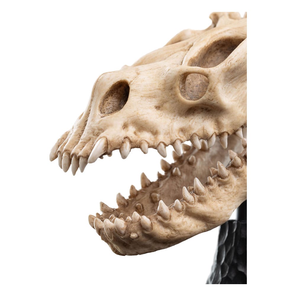 Herr der Ringe Mini Statue Skull of a Fell Beast 21 cm - Preorder - ETA: 05.10.2025