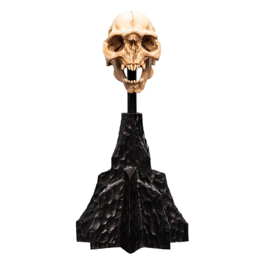 Herr der Ringe Mini Statue Skull of a Moria Orc 13 cm - Versand: 5-7 Tage nach Bestellung