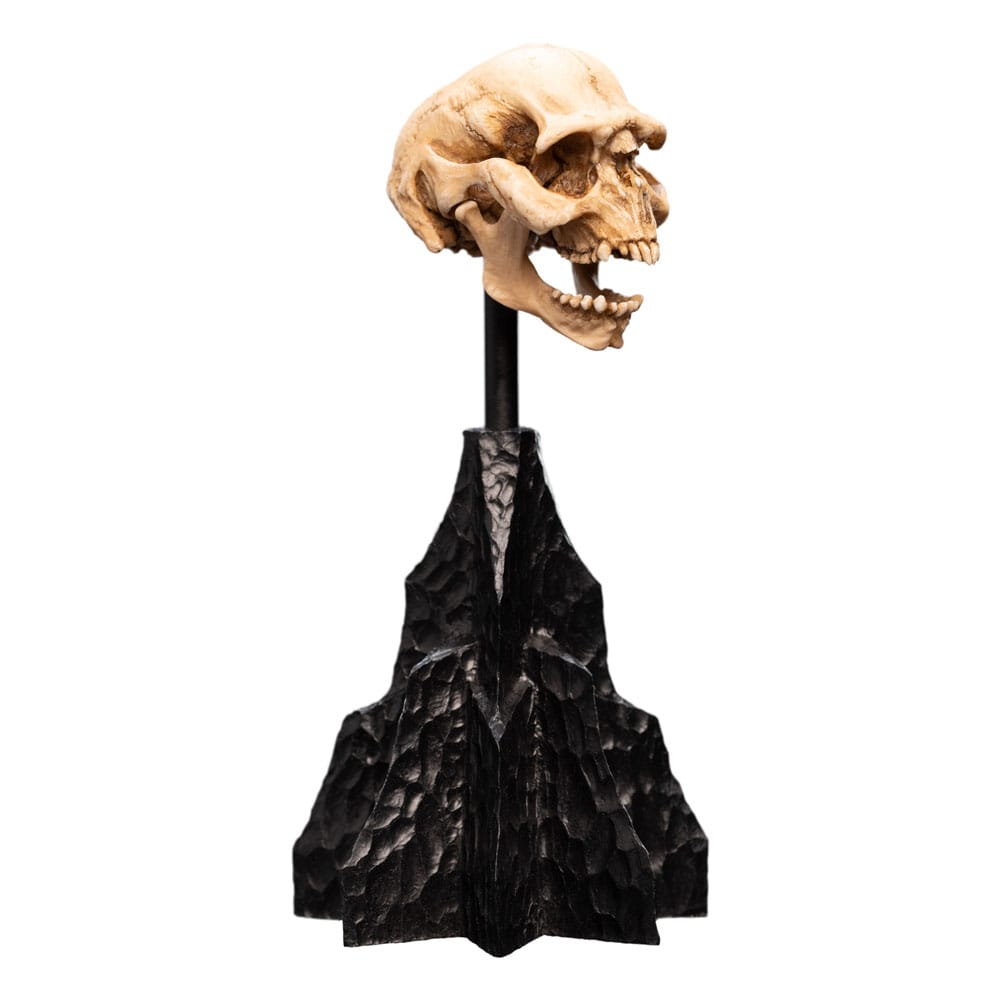 Herr der Ringe Mini Statue Skull of a Moria Orc 13 cm - Versand: 5-7 Tage nach Bestellung