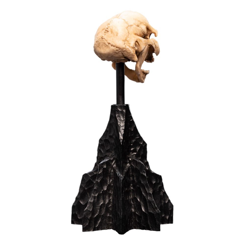 Herr der Ringe Mini Statue Skull of a Moria Orc 13 cm - Versand: 5-7 Tage nach Bestellung