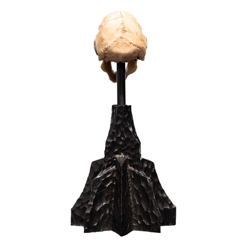 Herr der Ringe Mini Statue Skull of a Moria Orc 13 cm - Versand: 5-7 Tage nach Bestellung