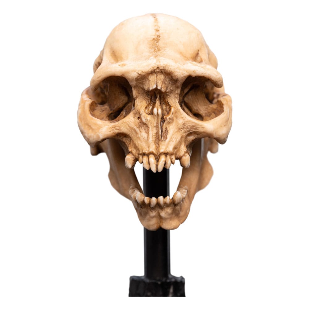 Herr der Ringe Mini Statue Skull of a Moria Orc 13 cm - Versand: 5-7 Tage nach Bestellung