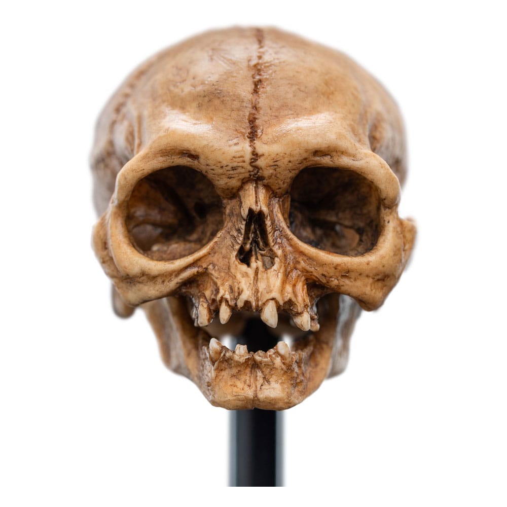 Herr der Ringe Mini Statue Skull of Gollum 13 cm - Versand: 5-7 Tage nach Bestellung