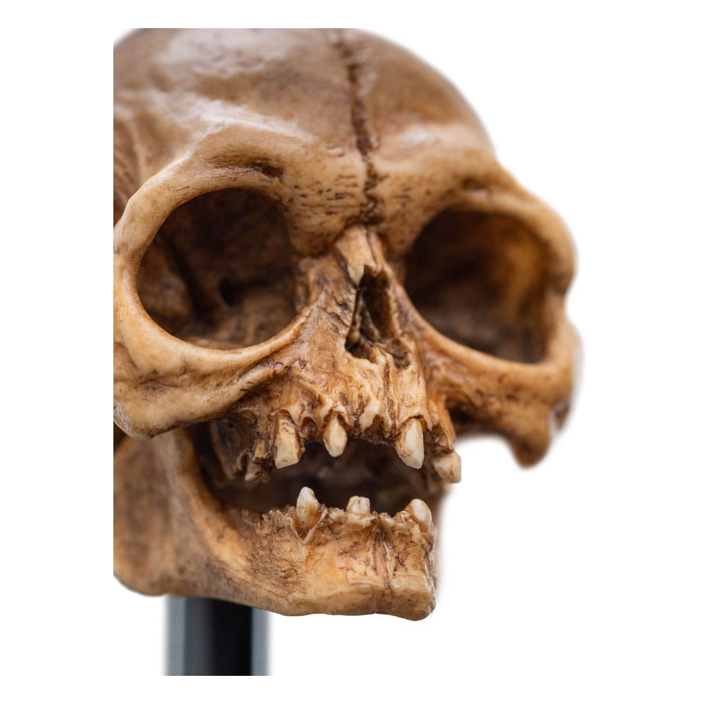 Herr der Ringe Mini Statue Skull of Gollum 13 cm - Versand: 5-7 Tage nach Bestellung