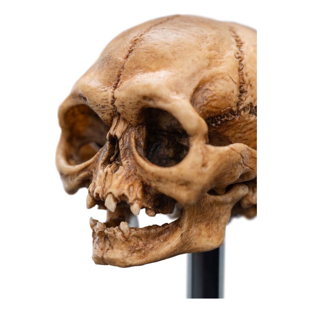 Herr der Ringe Mini Statue Skull of Gollum 13 cm - Versand: 5-7 Tage nach Bestellung
