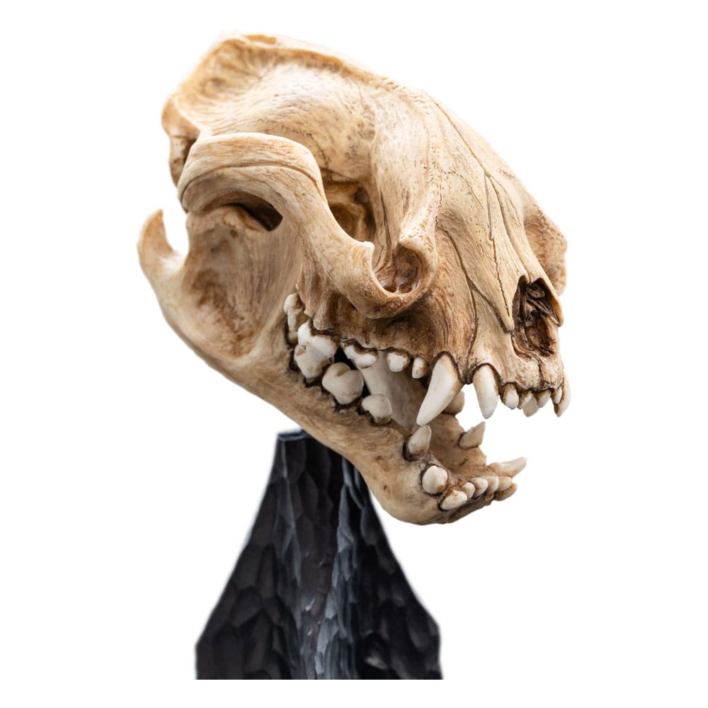 Herr der Ringe Mini Statue Skull of a Warg 20 cm - Preorder - ETA: 25.10.2025