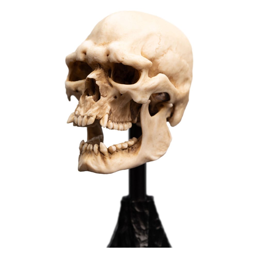 Herr der Ringe Mini Statue Skull of a Mordor Orc 14 cm - Preorder - ETA: 25.10.2025