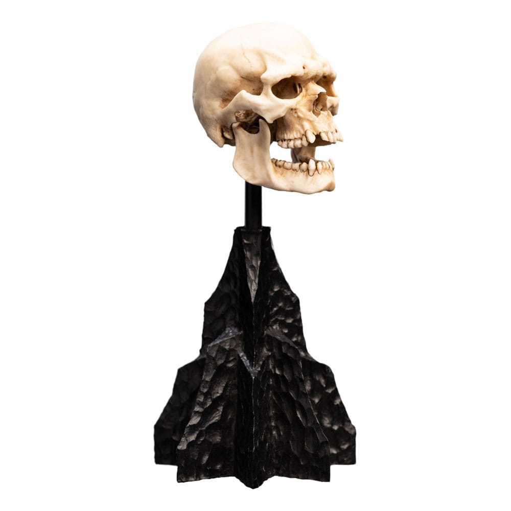 Herr der Ringe Mini Statue Skull of a Mordor Orc 14 cm - Preorder - ETA: 25.10.2025