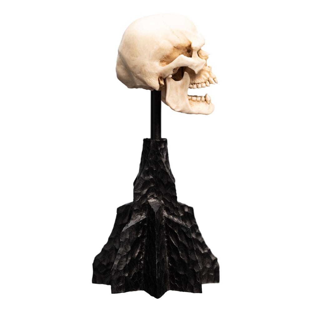 Herr der Ringe Mini Statue Skull of a Mordor Orc 14 cm - Preorder - ETA: 25.10.2025