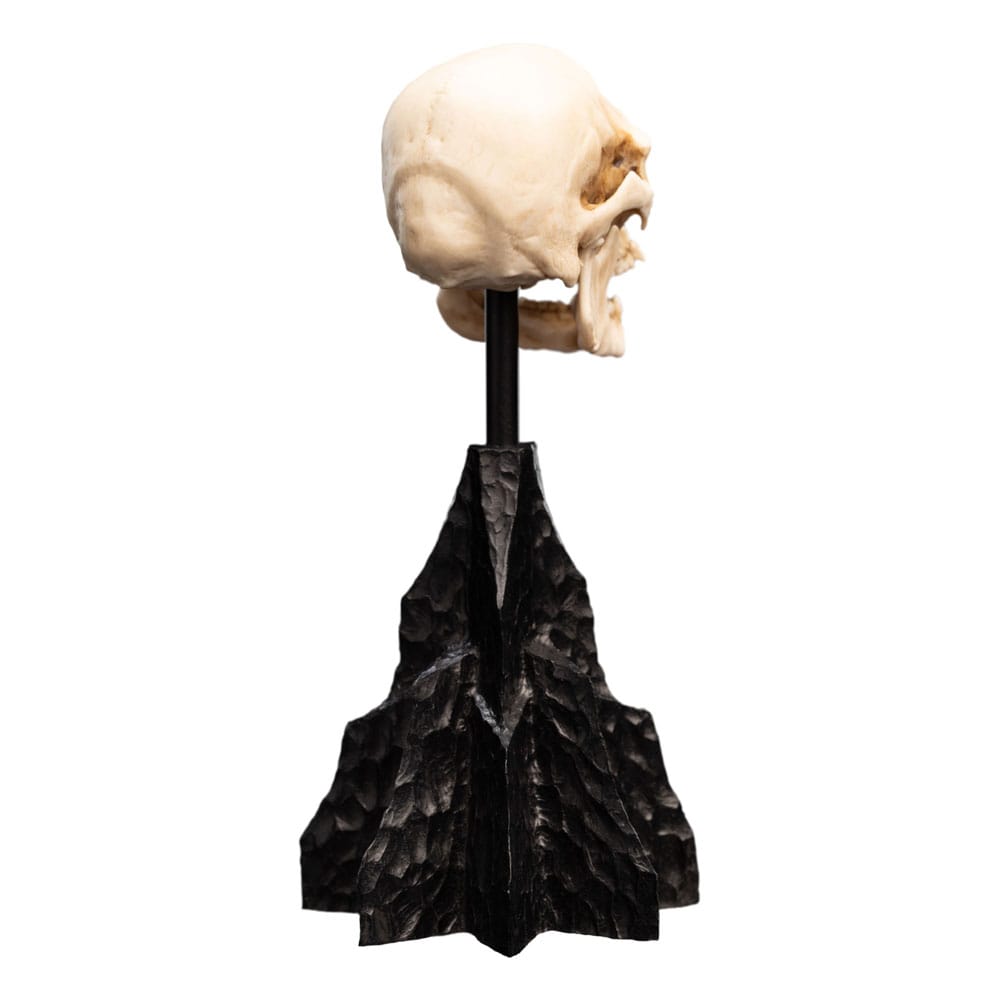 Herr der Ringe Mini Statue Skull of a Mordor Orc 14 cm - Preorder - ETA: 25.10.2025
