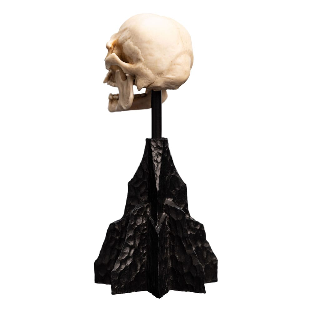 Herr der Ringe Mini Statue Skull of a Mordor Orc 14 cm - Preorder - ETA: 25.10.2025