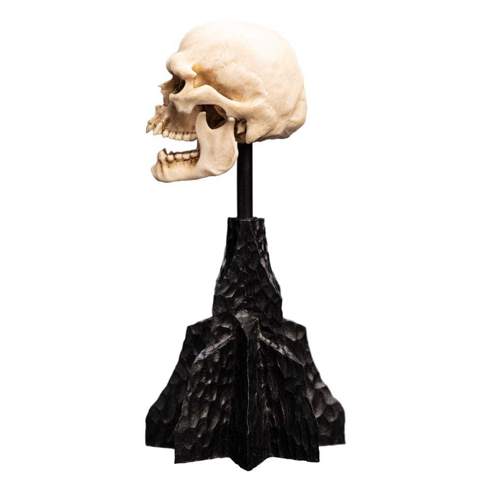 Herr der Ringe Mini Statue Skull of a Mordor Orc 14 cm - Preorder - ETA: 25.10.2025
