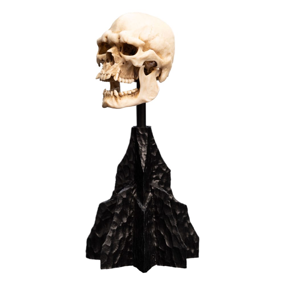 Herr der Ringe Mini Statue Skull of a Mordor Orc 14 cm - Preorder - ETA: 25.10.2025