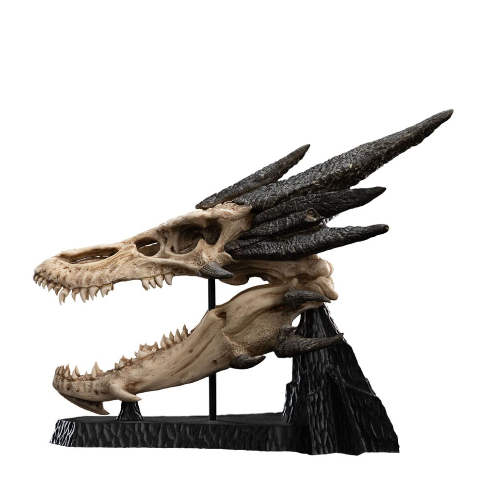 Herr der Ringe Mini Statue Skull of Smaug 22 cm - Preorder - ETA: 25.07.2026