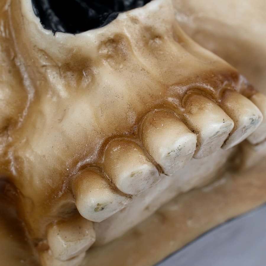 Warhammer 40,000 Tasse Servo Skull - Preorder - ETA: 28.12.2026