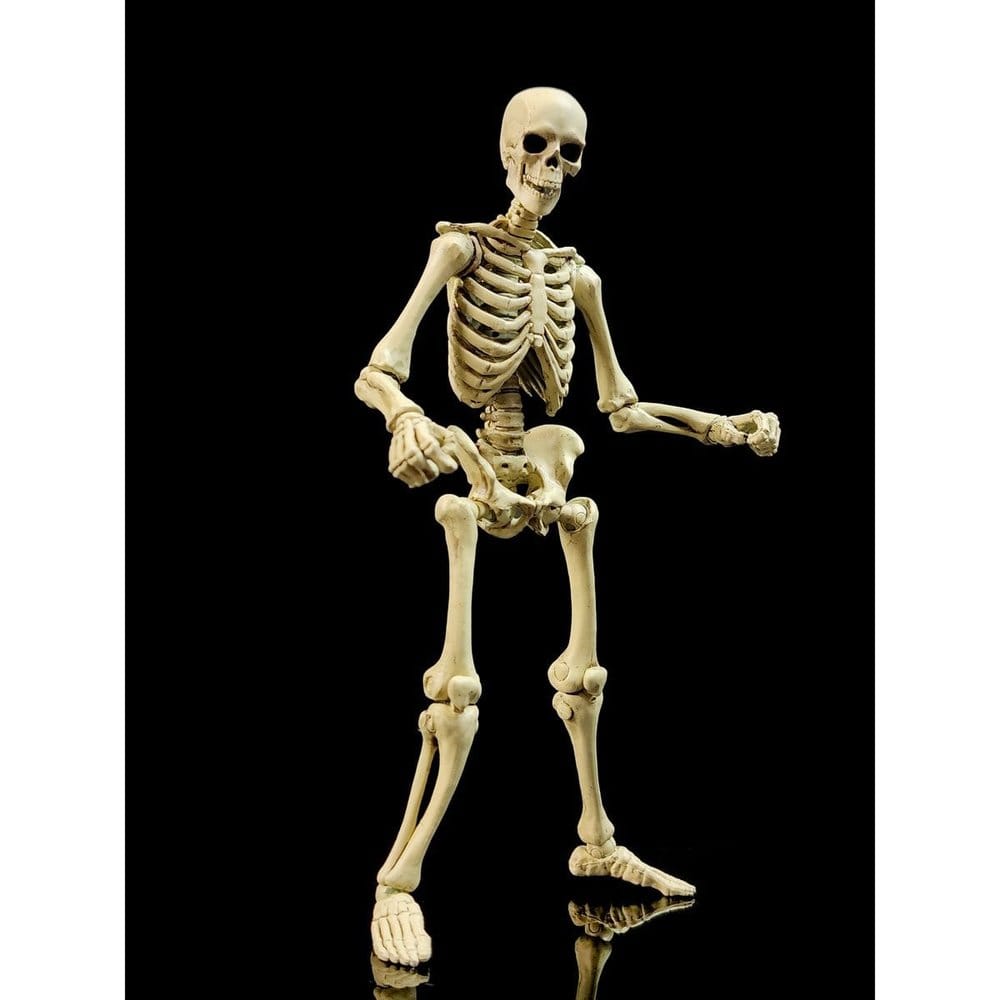 Epic H.A.C.K.S. Actionfigur 1/12 Skeleton Blank Classic Bone - Preorder - ETA: 25.05.2027