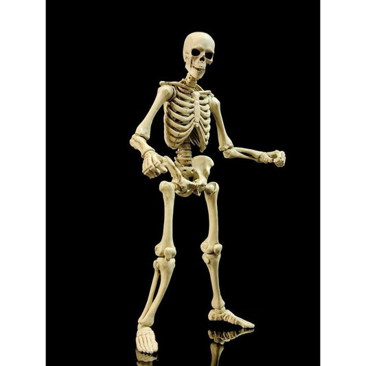 Epic H.A.C.K.S. Actionfigur 1/12 Skeleton Blank Classic Bone - Preorder - ETA: 25.05.2027