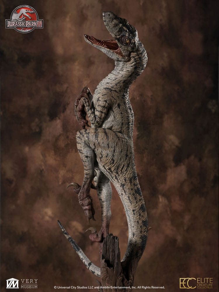 Jurassic Park III Maquette 1/4 Female Velociraptor White Queen 103 cm  - Preorder - ETA: 25.11.2026