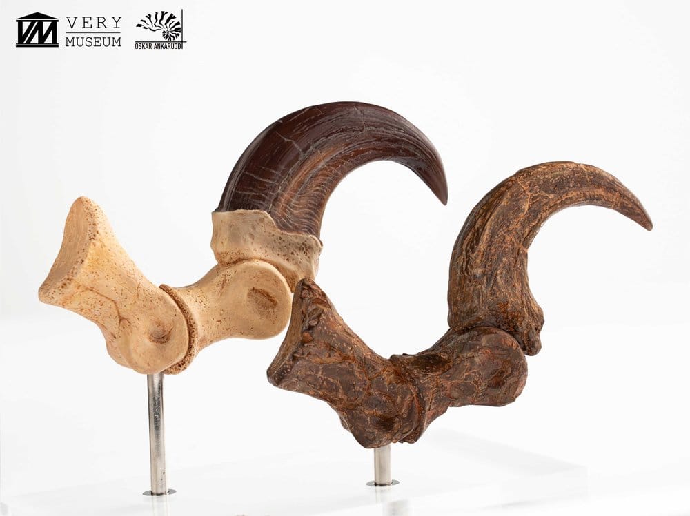 Jurassic Park ECC Elite Creature Line Statue Velociraptor Foot Claw and Fossil Claw Set 20 cm  - Preorder - ETA: 25.08.2026