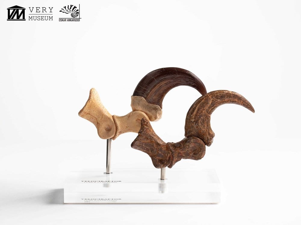 Jurassic Park ECC Elite Creature Line Statue Velociraptor Foot Claw and Fossil Claw Set 20 cm  - Preorder - ETA: 25.08.2026