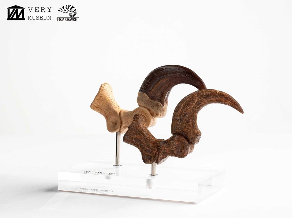 Jurassic Park ECC Elite Creature Line Statue Velociraptor Foot Claw and Fossil Claw Set 20 cm  - Preorder - ETA: 25.08.2026