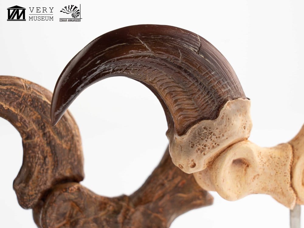 Jurassic Park ECC Elite Creature Line Statue Velociraptor Foot Claw and Fossil Claw Set 20 cm  - Preorder - ETA: 25.08.2026