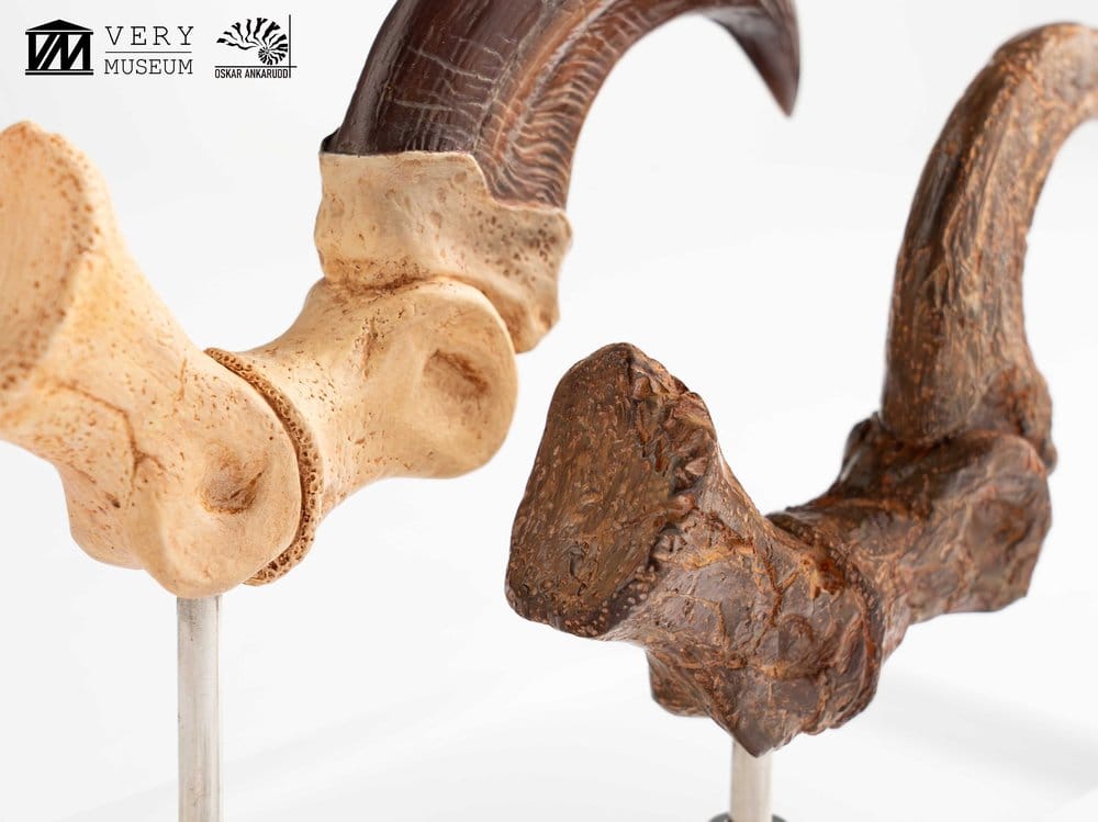 Jurassic Park ECC Elite Creature Line Statue Velociraptor Foot Claw and Fossil Claw Set 20 cm  - Preorder - ETA: 25.08.2026