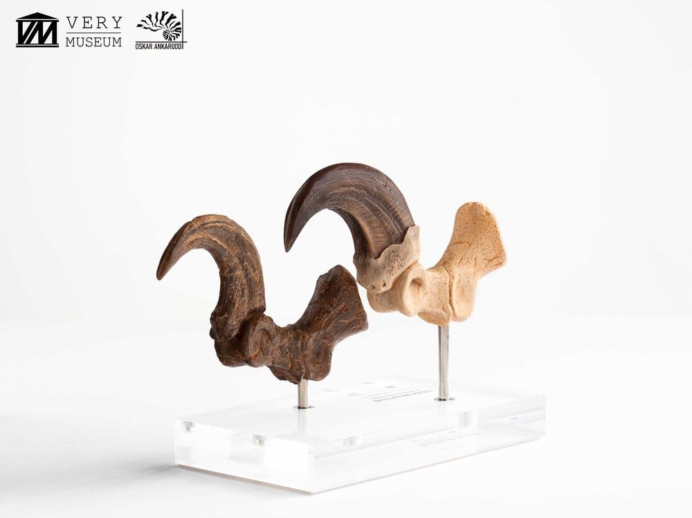 Jurassic Park ECC Elite Creature Line Statue Velociraptor Foot Claw and Fossil Claw Set 20 cm  - Preorder - ETA: 25.08.2026