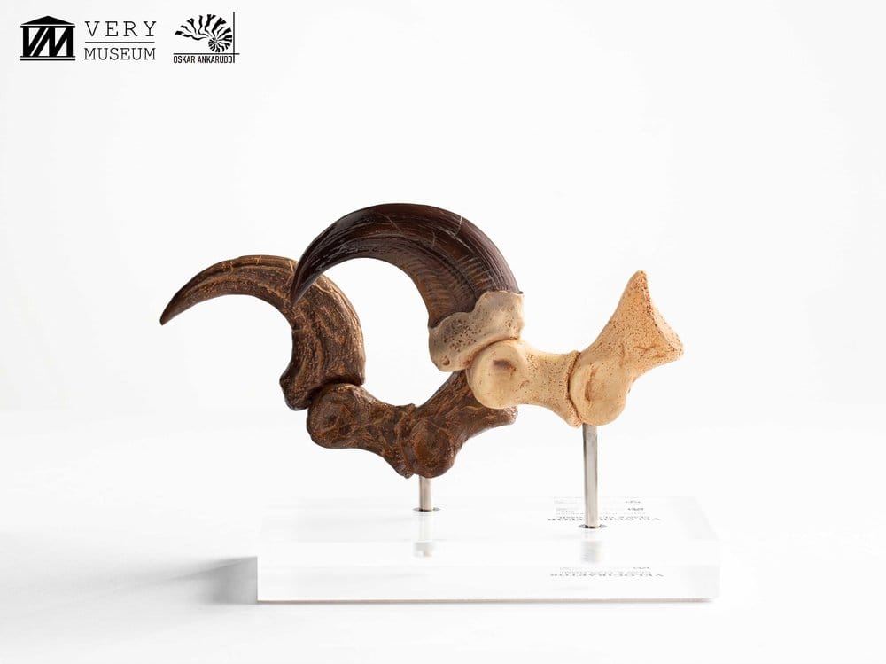 Jurassic Park ECC Elite Creature Line Statue Velociraptor Foot Claw and Fossil Claw Set 20 cm  - Preorder - ETA: 25.08.2026