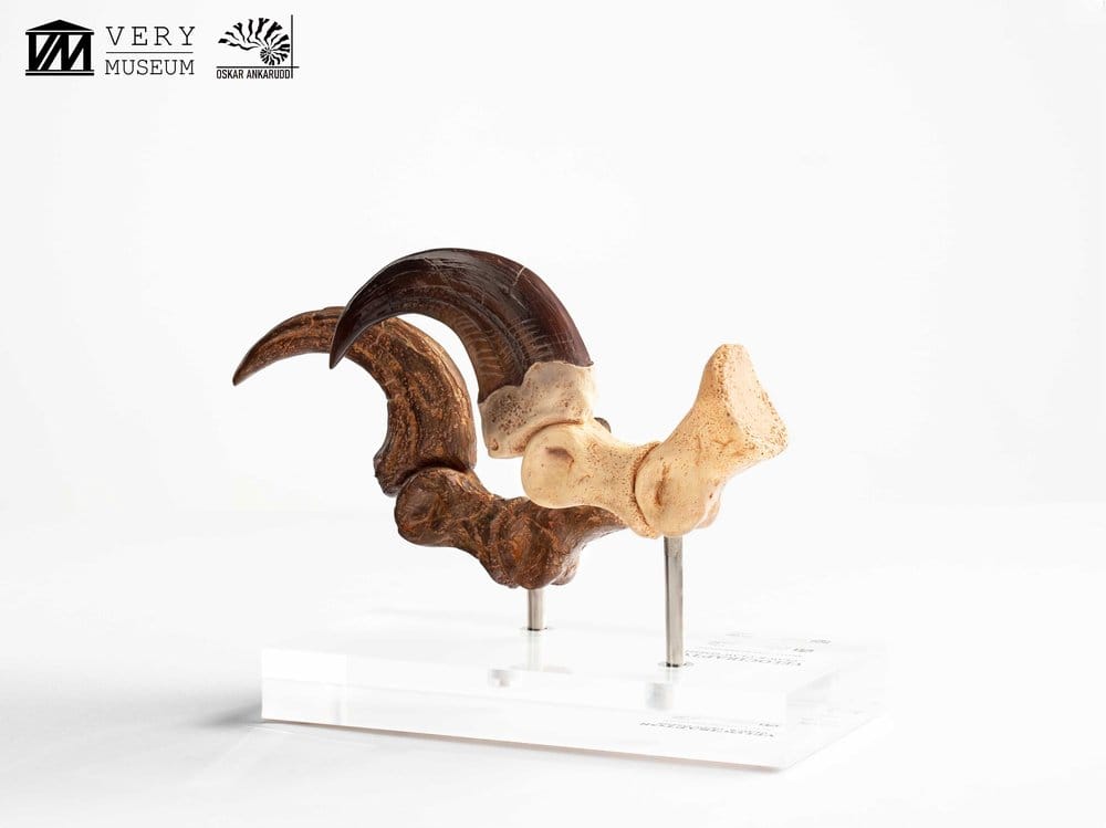 Jurassic Park ECC Elite Creature Line Statue Velociraptor Foot Claw and Fossil Claw Set 20 cm  - Preorder - ETA: 25.08.2026