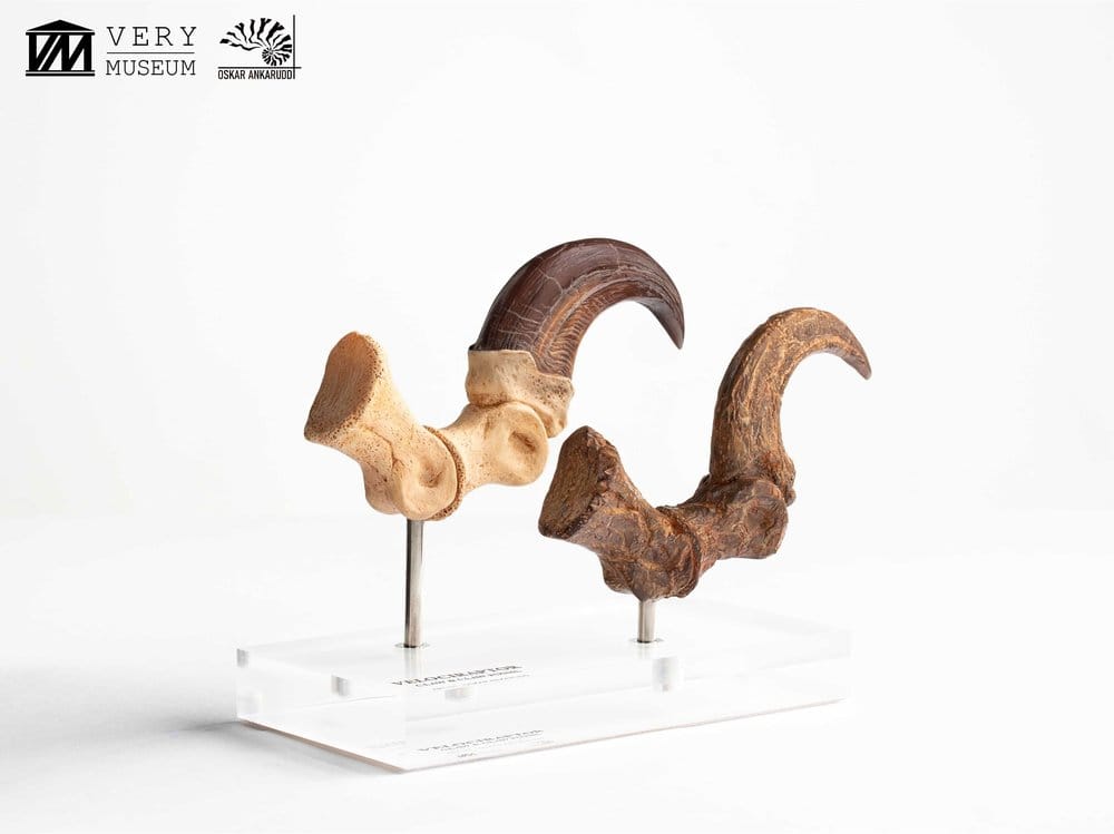 Jurassic Park ECC Elite Creature Line Statue Velociraptor Foot Claw and Fossil Claw Set 20 cm  - Preorder - ETA: 25.08.2026