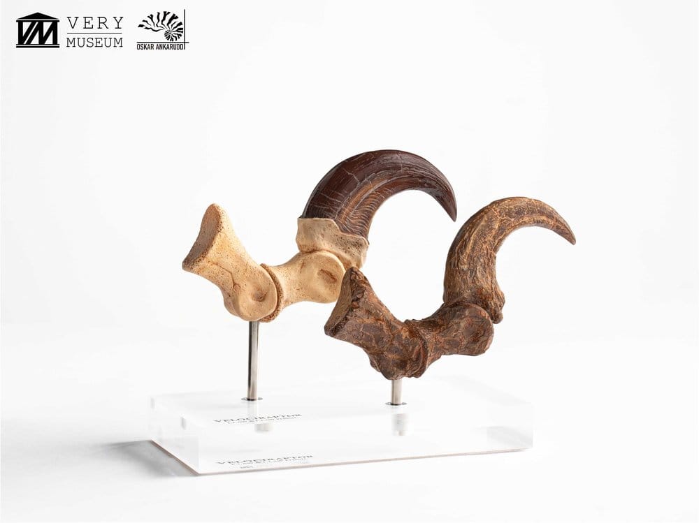Jurassic Park ECC Elite Creature Line Statue Velociraptor Foot Claw and Fossil Claw Set 20 cm  - Preorder - ETA: 25.08.2026