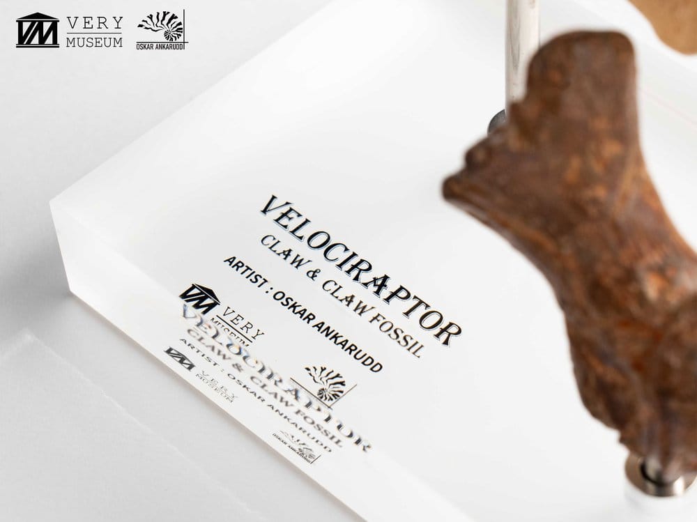 Jurassic Park ECC Elite Creature Line Statue Velociraptor Foot Claw and Fossil Claw Set 20 cm  - Preorder - ETA: 25.08.2026